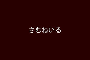 All in One SEO Packの追加で真っ赤な表示が出た